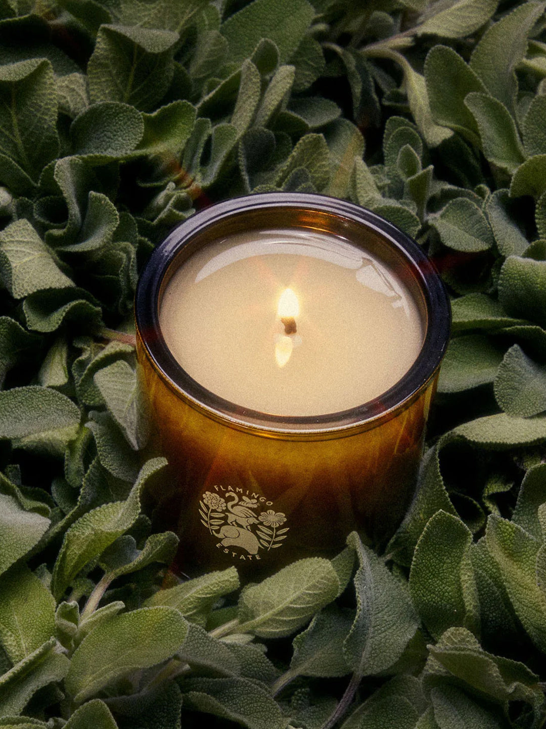 Adriatic Muscatel Sage Candle