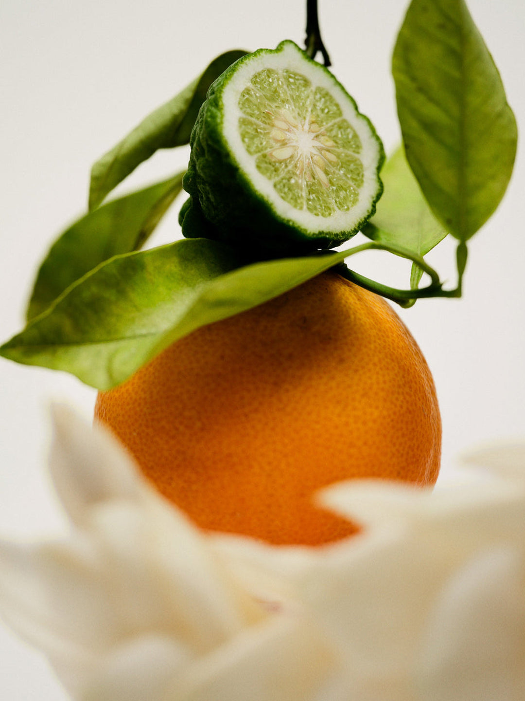 No.12 Bousval Candle