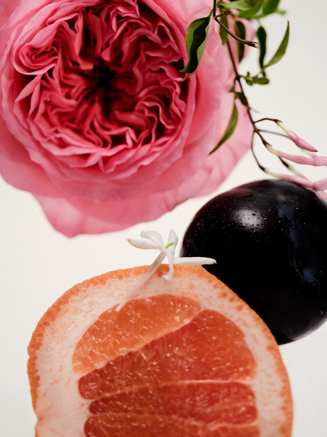 No.14 Icila Body Oil