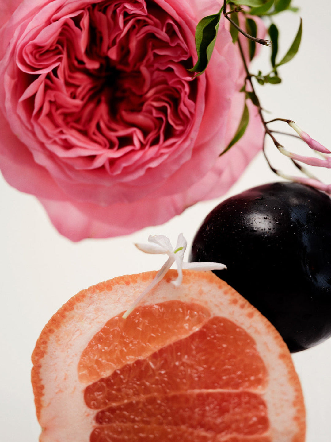 No.14 Icila Perfume Oil